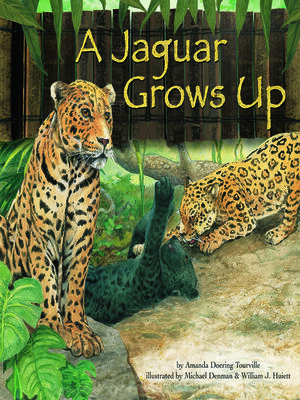 cover image of A Jaguar Grows Up